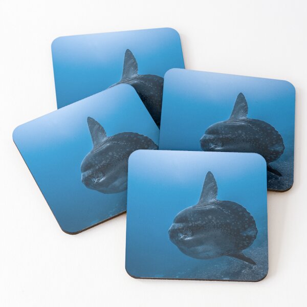 Item preview, Mola Mola designed and sold by Ollieunderwater.