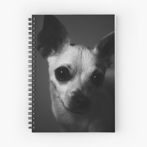 Item preview, Pepito designed and sold by AldeBenii.