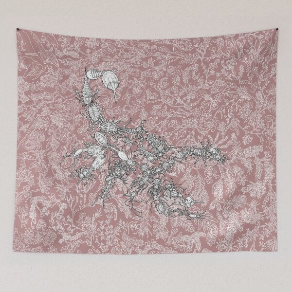 Item preview, Arachnids - Spiders, Scorpions - Evolution - Pink Background designed and sold by EvolutionPoster.