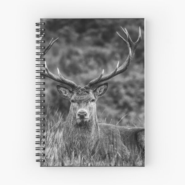Item preview, Magnificent Stag designed and sold by iCimages.net.