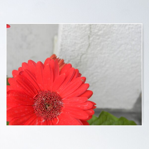 Item preview, Vibrance designed and sold by musicisart.