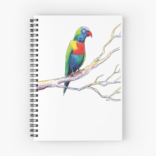 Item preview, Rainbow Lorikeet (Trichoglossus haematodus) designed and sold by Joel Tarling.