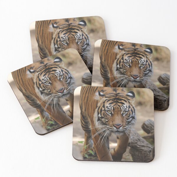 Item preview, Tiger prowl designed and sold by MelKowasic.