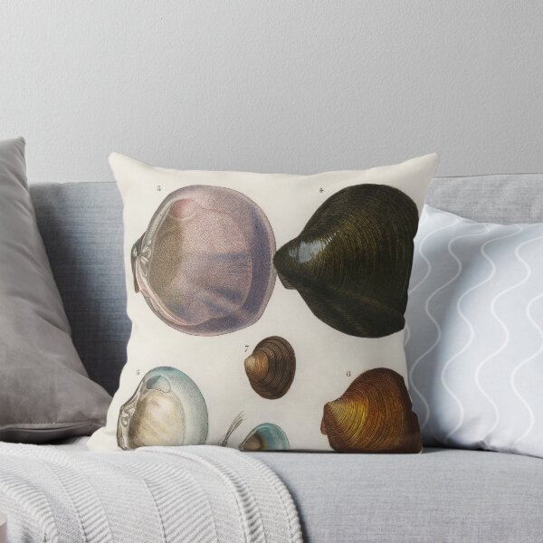 Item preview, Shell species vintage illustration designed and sold by Vintage Designs +.