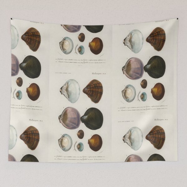 Artikelvorschau, Shell species vintage illustration entworfen und verkauft von Vintage Designs +.