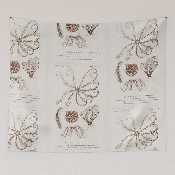 Artikelvorschau, Starfish species vintage illustration entworfen und verkauft von Vintage Designs +.