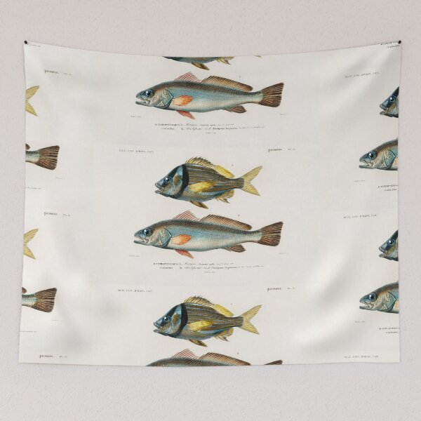 Item preview, sea fish vintage illustration  designed and sold by Vintage Designs +.