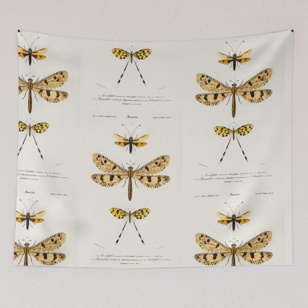 Item preview,  Beetle bug vintage illustration  designed and sold by Vintage Designs +.