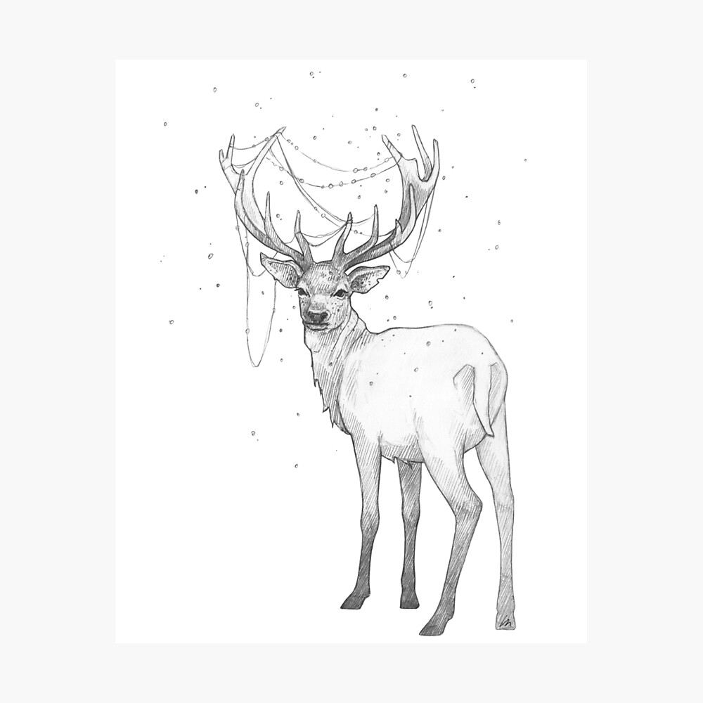 Share 79+ reindeer pencil sketch latest in.eteachers