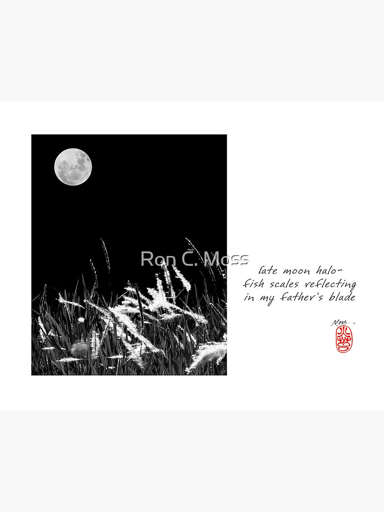 Late Moon by ronmoss
