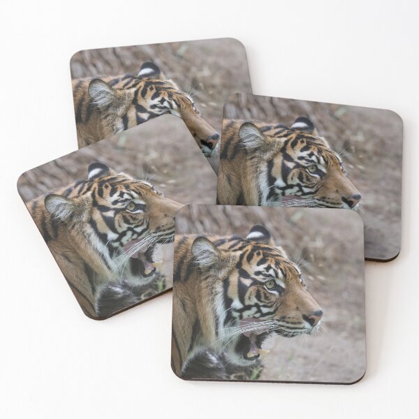 Item preview, Tiger lick designed and sold by MelKowasic.