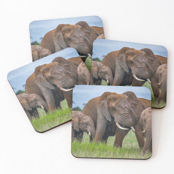 Item preview, Elephant Family Time designed and sold by Jensphotos.
