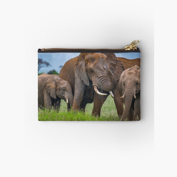 Item preview, Elephant Family Time designed and sold by Jensphotos.