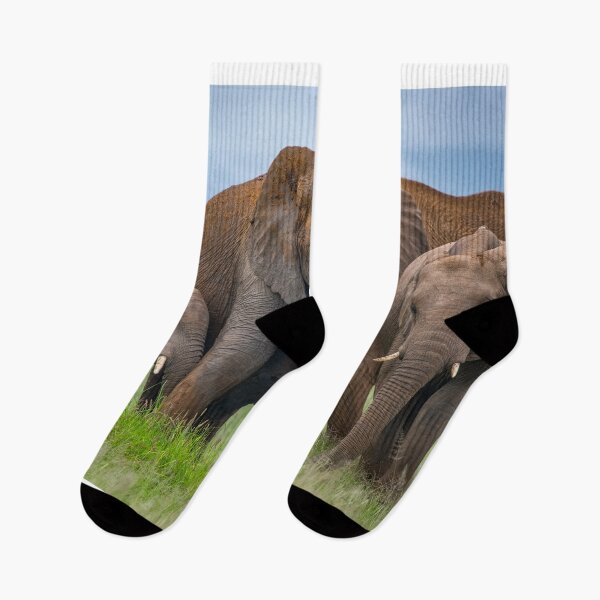 Item preview, Elephant Family Time designed and sold by Jensphotos.