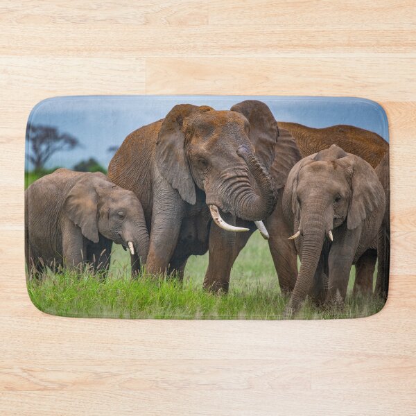 Item preview, Elephant Family Time designed and sold by Jensphotos.