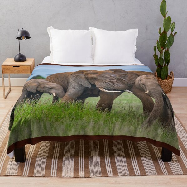 Item preview, Elephant Family Time designed and sold by Jensphotos.