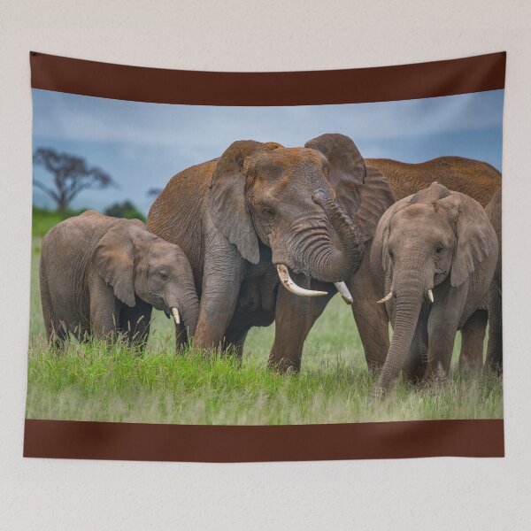 Item preview, Elephant Family Time designed and sold by Jensphotos.