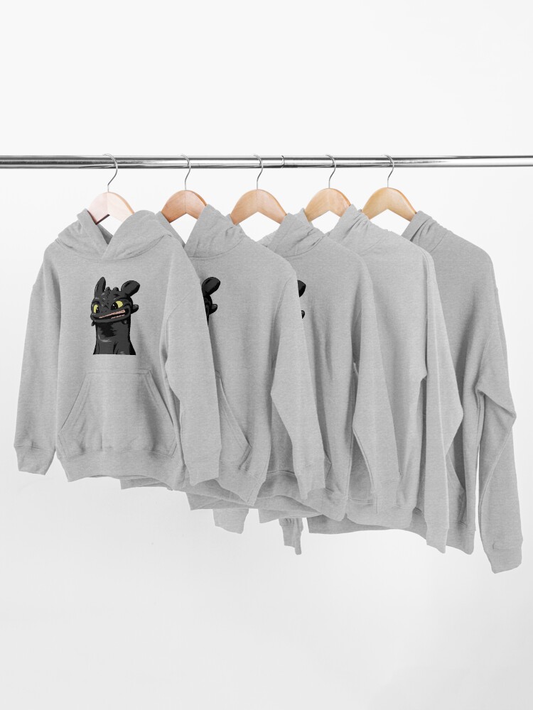 Toothless hoodie youth new arrivals