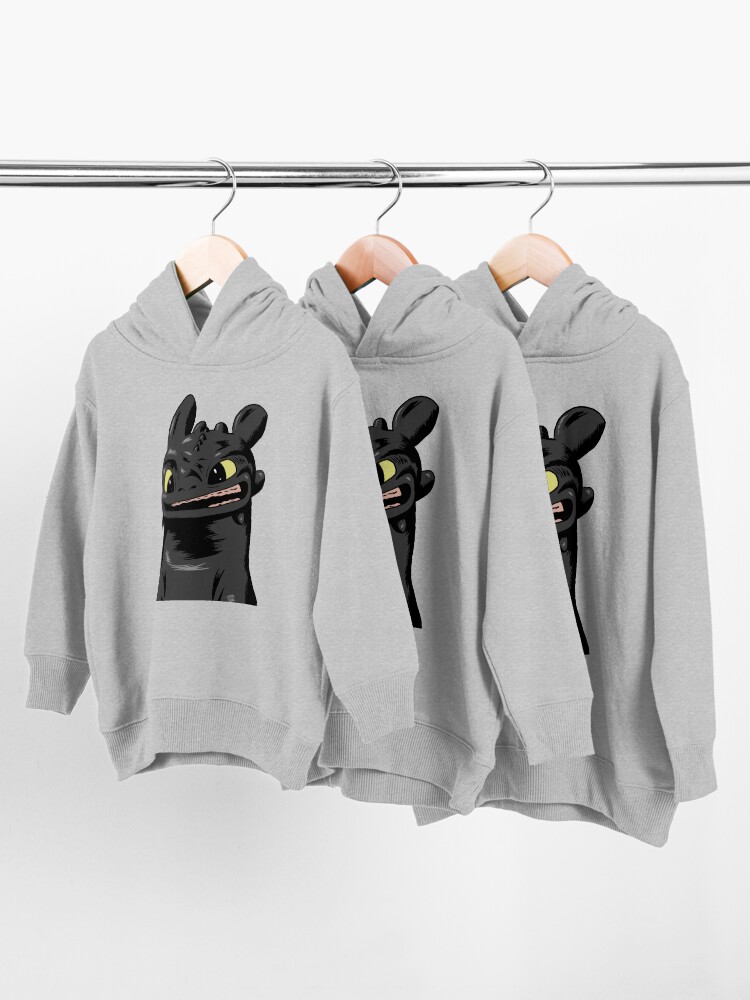 Toothless hoodie clearance youth