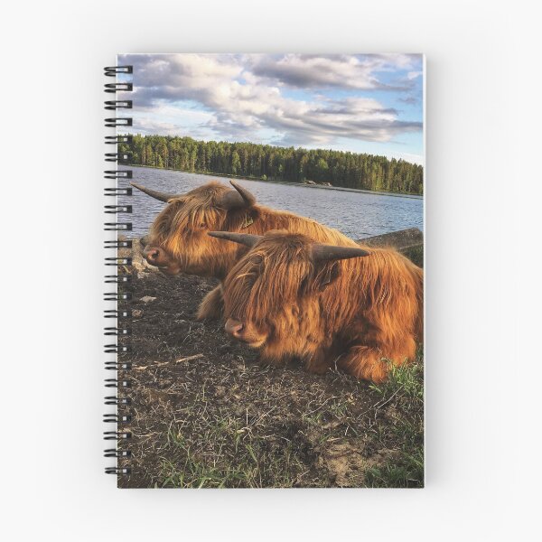 Item preview, Scottish Highland Cattle Bulls 1790 designed and sold by SaarelaHighland.