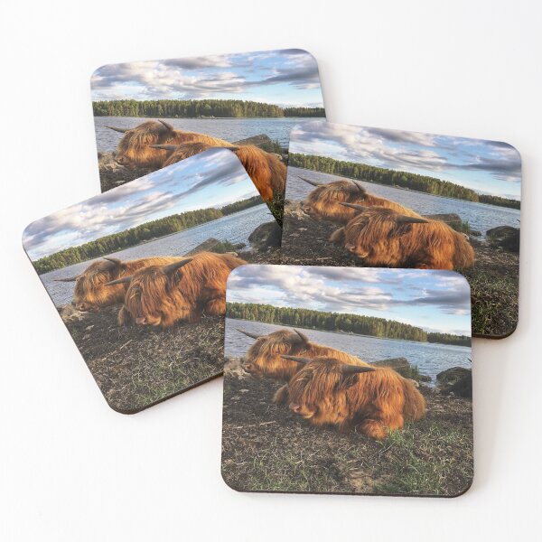 Item preview, Scottish Highland Cattle Bulls 1790 designed and sold by SaarelaHighland.
