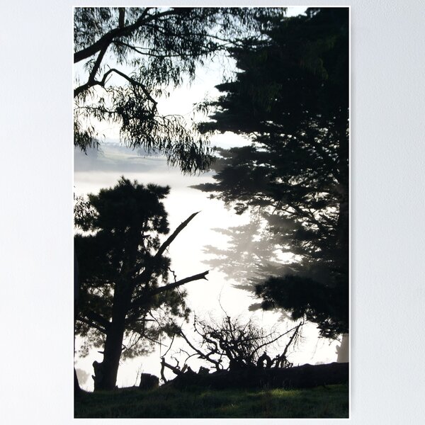 Item preview, wild dog valley in the early morning mist designed and sold by bberkley.