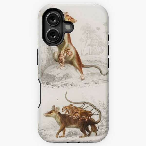 Item preview, Possum vintage illustration  designed and sold by Vintage Designs +.