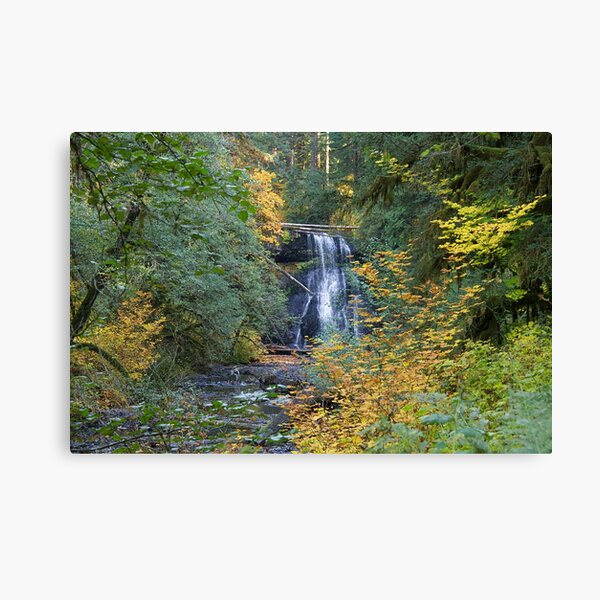 850_2840 Canvas Print