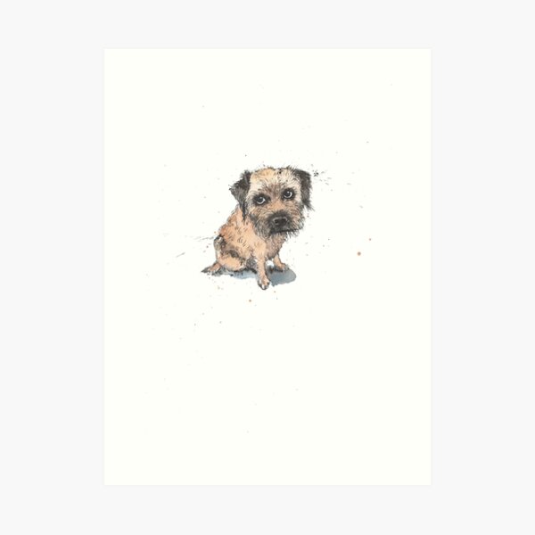 Sheepish Border Terrier Art Print