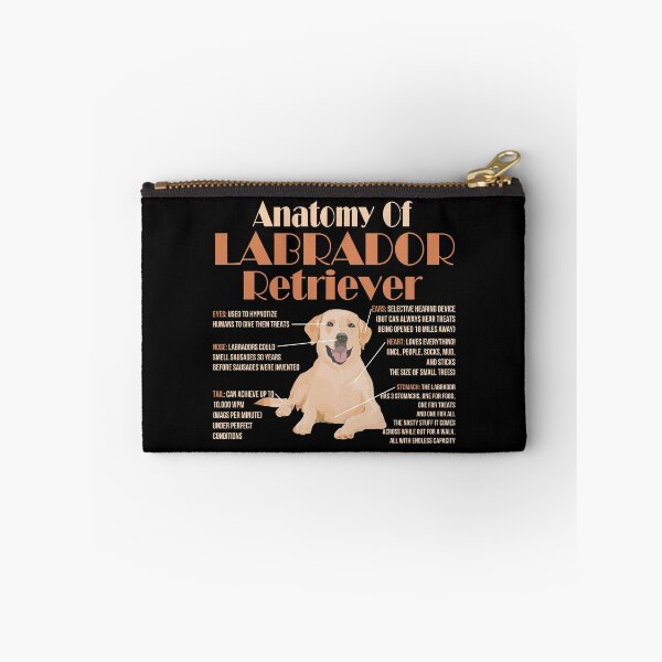 Item preview, Anatomy of Labrador Retriever designed and sold by EdifyEra.