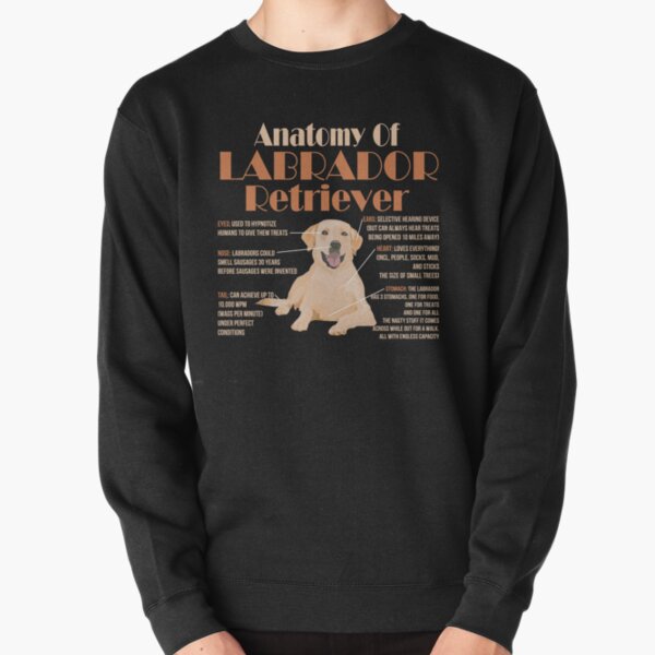 Anatomy of Labrador Retriever Pullover Sweatshirt
