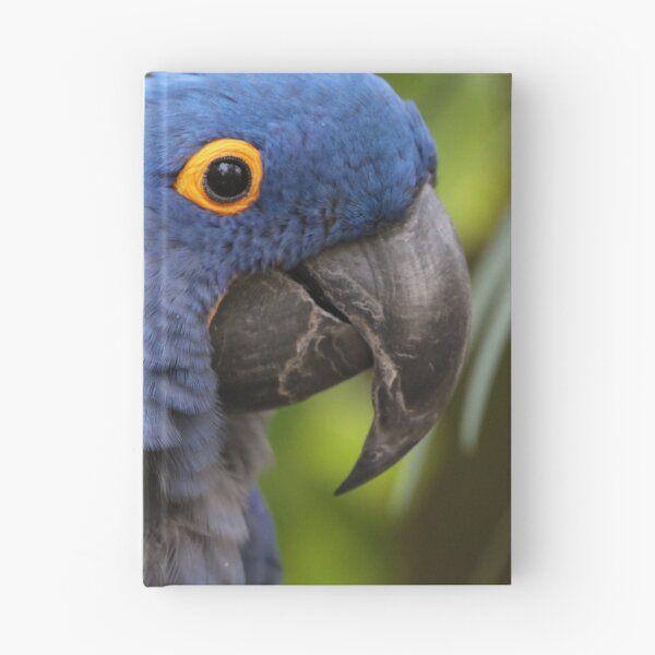 Item preview, Hyacinth macaw  designed and sold by MelKowasic.