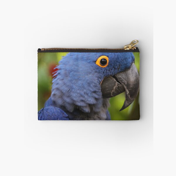 Item preview, Hyacinth macaw  designed and sold by MelKowasic.