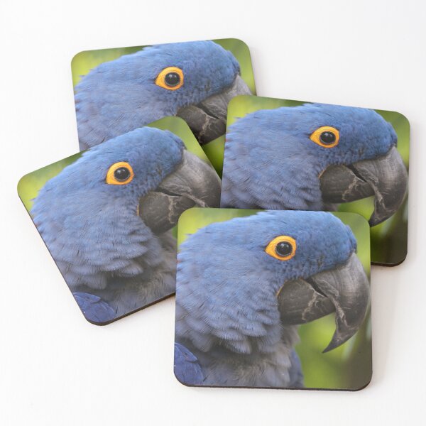 Item preview, Hyacinth macaw  designed and sold by MelKowasic.