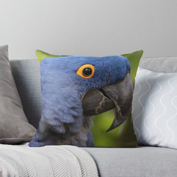 Item preview, Hyacinth macaw  designed and sold by MelKowasic.