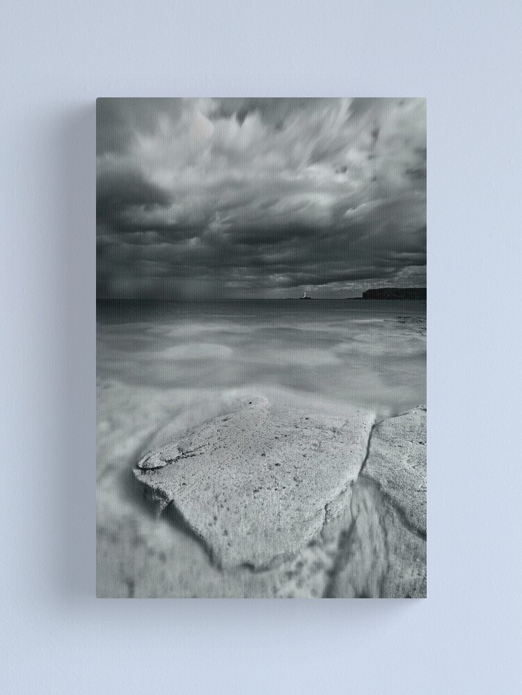 Alternate view of Run away Canvas Print