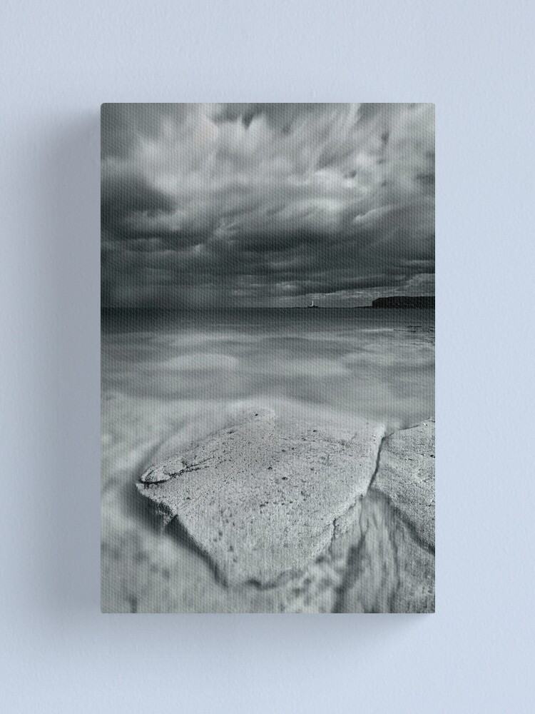 Alternate view of Run away Canvas Print