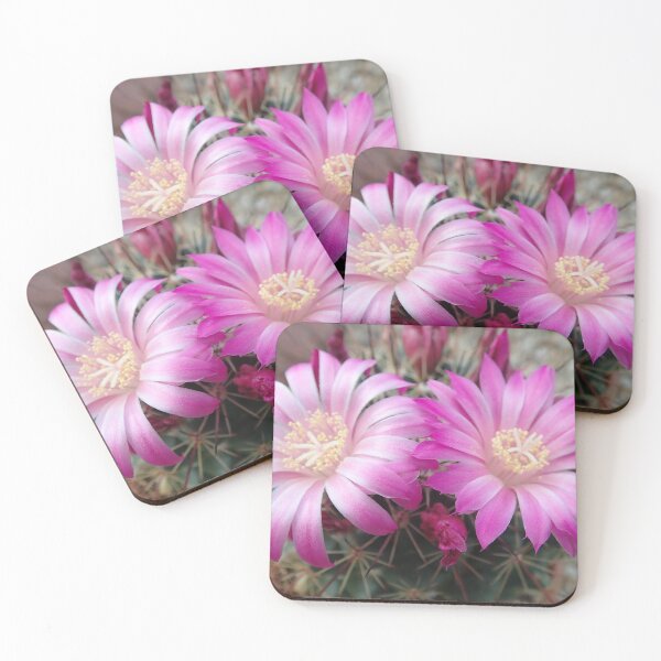Item preview, Two Cactus Flowers in Bloom designed and sold by Allen Penton.