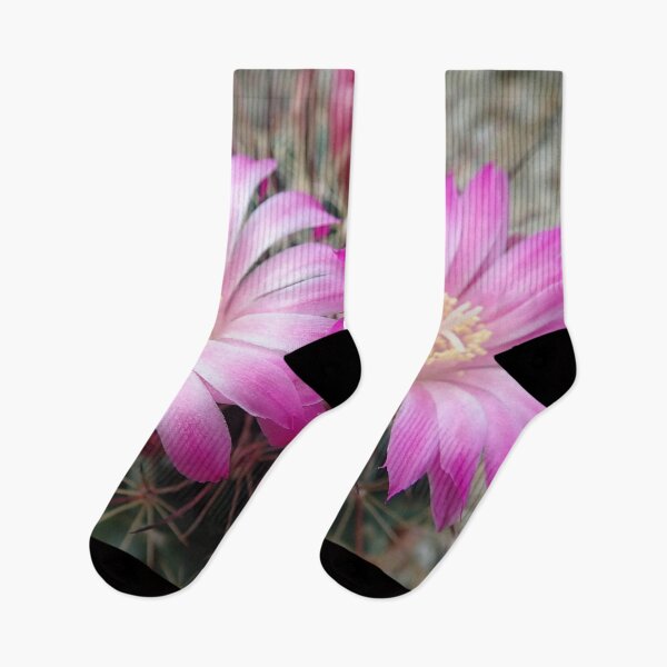 Item preview, Two Cactus Flowers in Bloom designed and sold by Allen Penton.