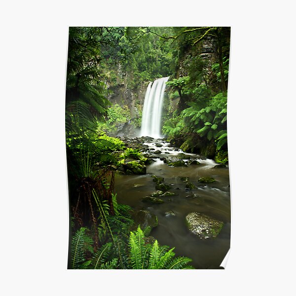 Hopetoun Falls, Great Otway National Park Poster