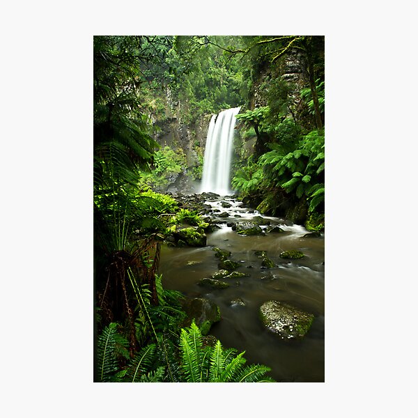 Item preview, Hopetoun Falls, Great Otway National Park designed and sold by Jason Asher.