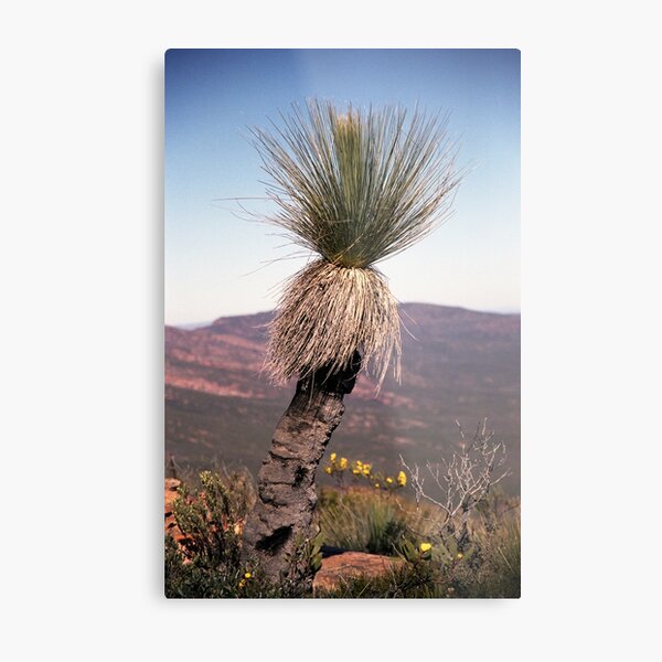Item preview, Wilpena Pound designed and sold by James Ruff.
