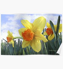 Sunlight on the Daffodils Poster