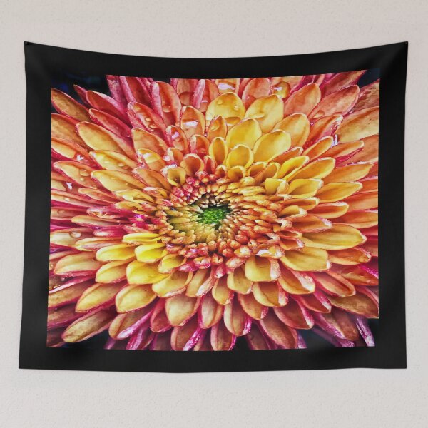 Item preview, Color Detonate designed and sold by Catherine Melvin.