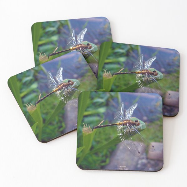 Item preview, Dragonfly designed and sold by soulestial.