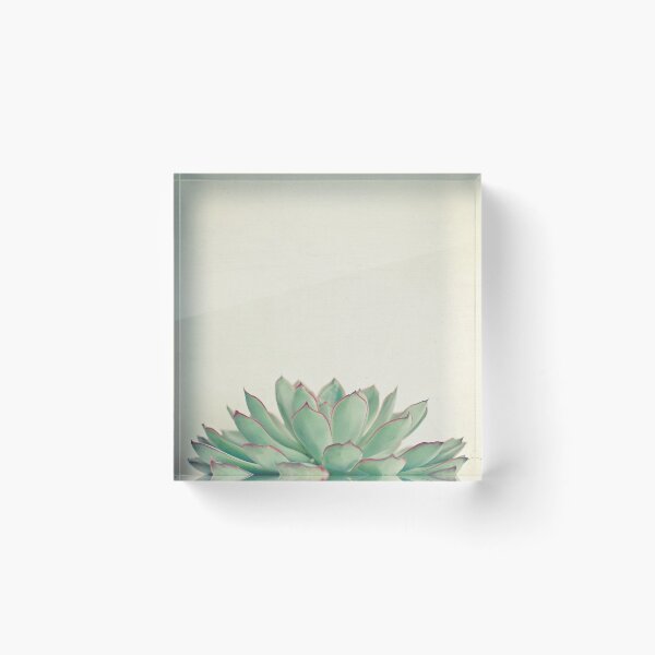 Item preview, Echeveria designed and sold by Cassia Beck.