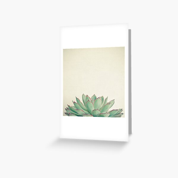 Echeveria Greeting Card