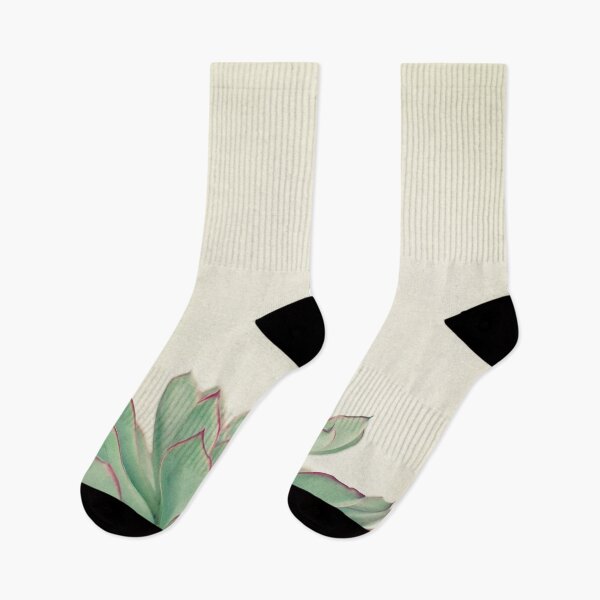 Item preview, Echeveria designed and sold by Cassia Beck.
