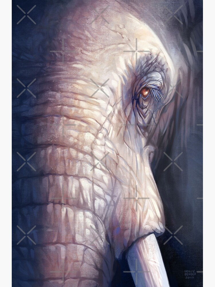Elephant by hollybender