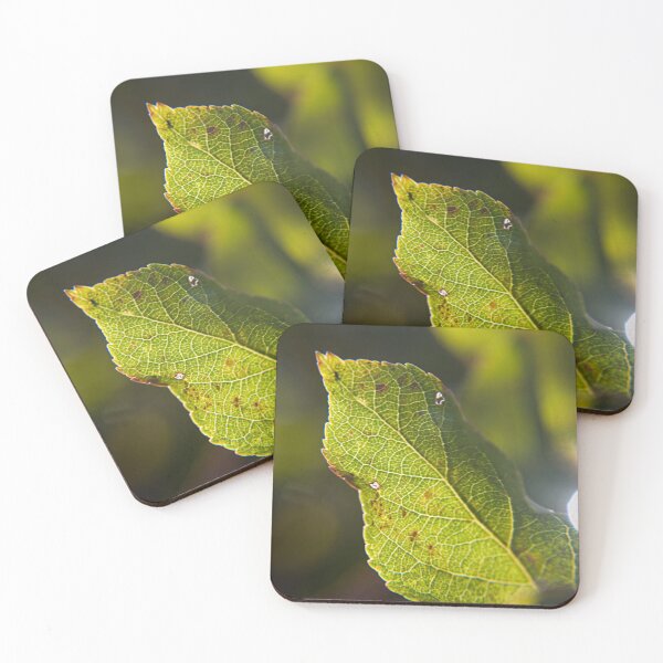Item preview, Sunshine Leaf designed and sold by cloudyskylines.